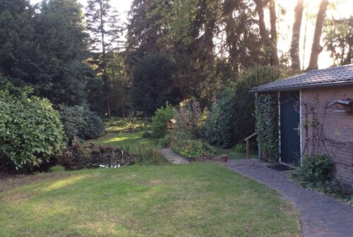 achtertuin