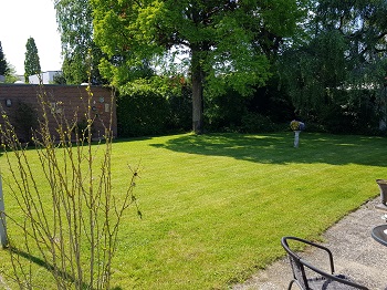 tuin 1